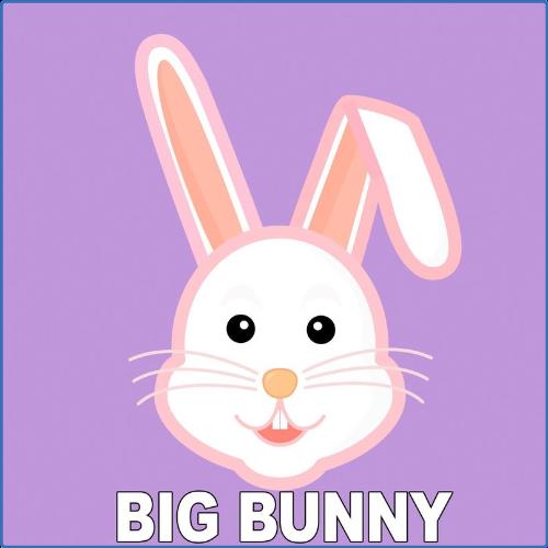 VA - Big Bunny - Night Format (2021) (MP3)