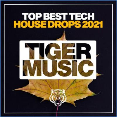 VA - Top Best Tech House Drops 2021 (2021) (MP3)