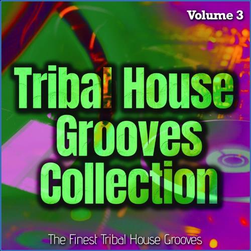 VA - Tribal House Grooves Collection, Vol. 3 - the Finest Tribal House Grooves (2021) (MP3)