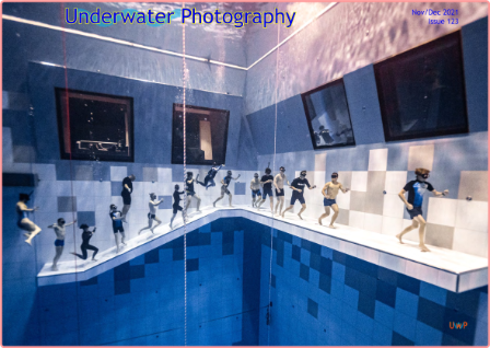 Underwater Photography - November-December 2021