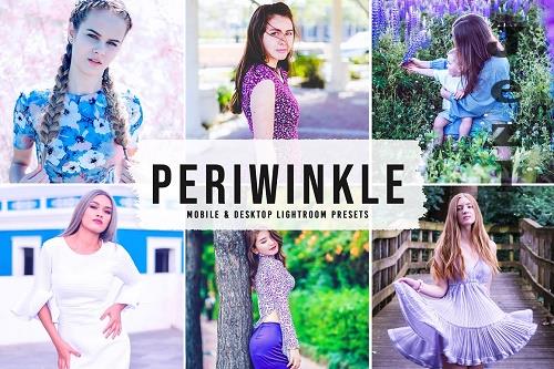 Periwinkle Pro Lightroom Presets - 6695374