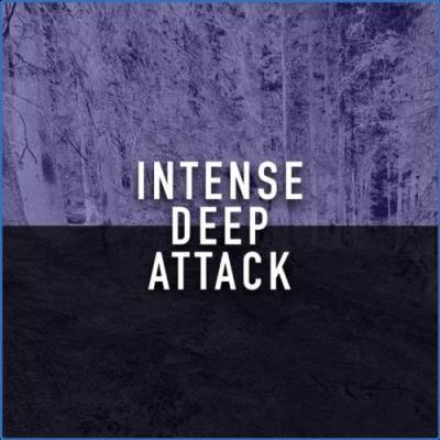 VA - Intense Deep Attack (2021) (MP3)