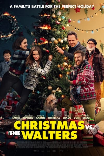 Christmas Vs The Walters (2021) 1080p WEBRip x264 AAC-YiFY