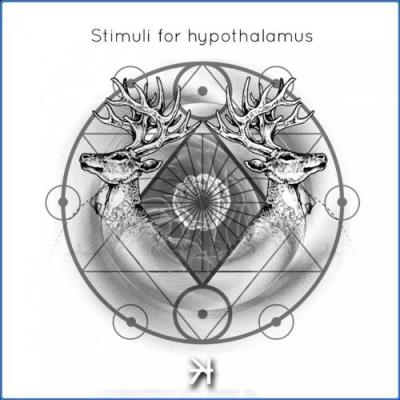VA - Stimuli for Hypothalamus (2021) (MP3)