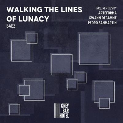 VA - Báez - Walking The Lines Of Lunacy (2021) (MP3)