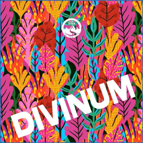 Natura Viva In The Mix - Divinum (2021)