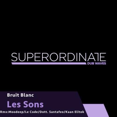 VA - Bruit Blanc - Les Sons (2021) (MP3)