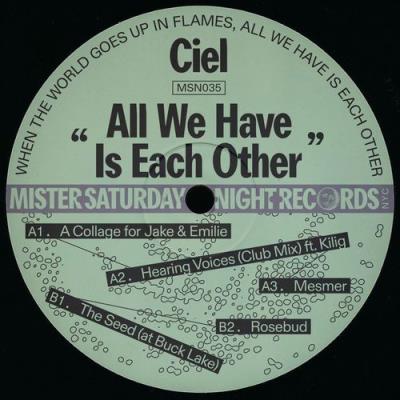 VA - Ciel - All We Have Is Each Other (2021) (MP3)