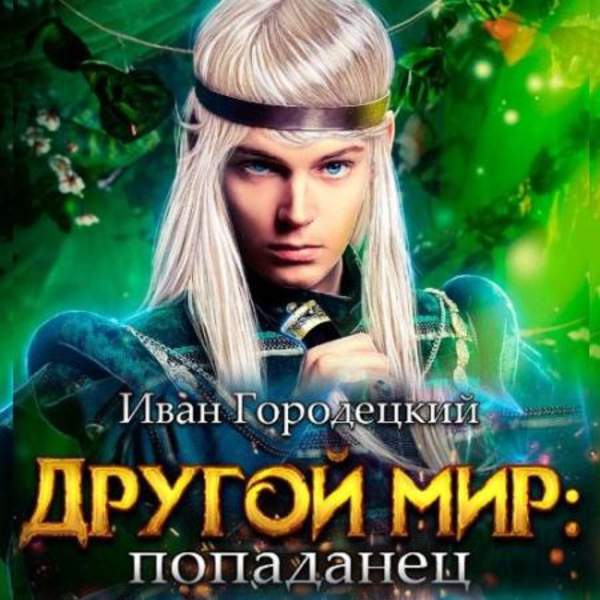 Иван Городецкий - Попаданец (Аудиокнига)