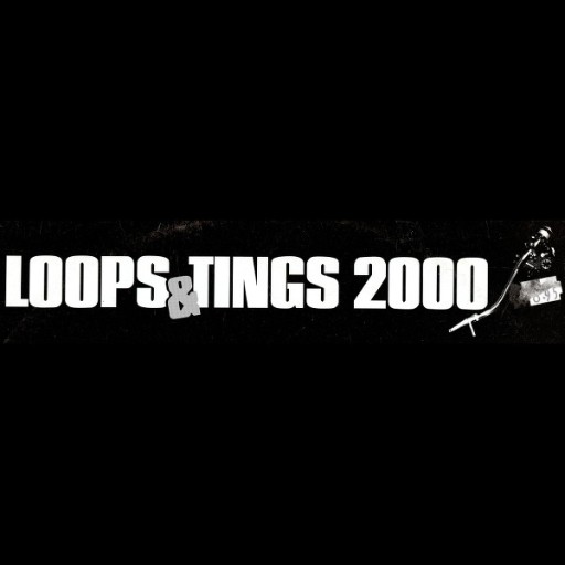 Richthoven-Loops And Tings 2000-(DNT 0013 12)-WHITELABEL-VINYL-FLAC-2000-STAX