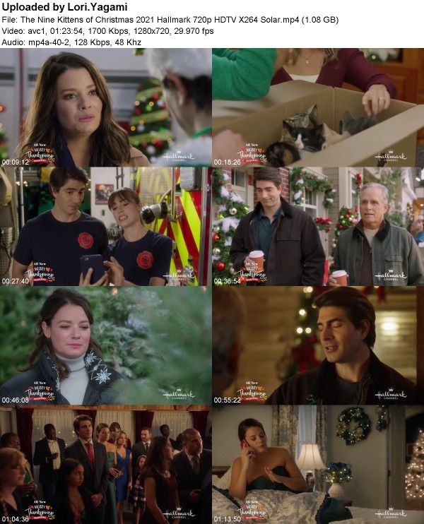 The Nine Kittens of Christmas (2021) Hallmark 720p HDTV X264 Solar