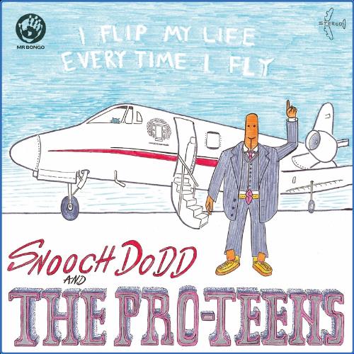 VA - The Pro-Teens - I Flip My Life Every Time I Fly (2021) (MP3)