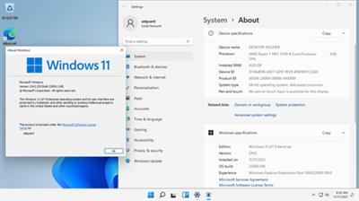 Windows 11 IoT version 21H2 Build 22000.318 (x64)