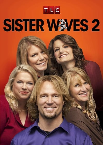 Sister Wives S16E02 Four Wives Three Fires 720p HEVC x265-MeGusta