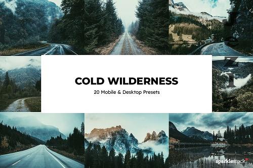 20 Cold Wilderness Lightroom Presets - 6693513