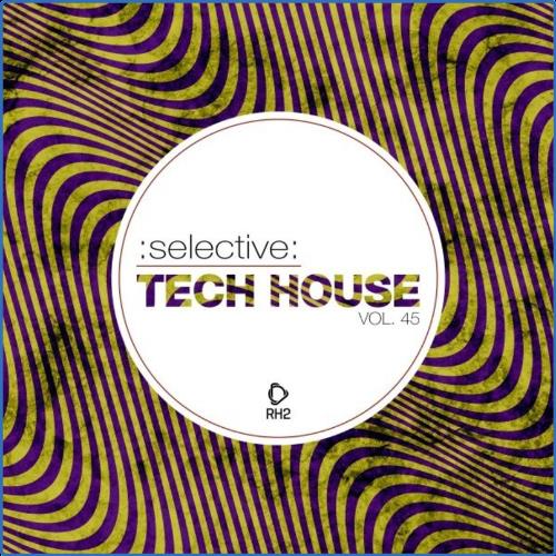 VA - Selective: Tech House, Vol. 45 (2021) (MP3)