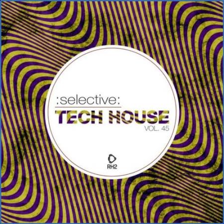 Selective: Tech House, Vol. 45 (2021)
