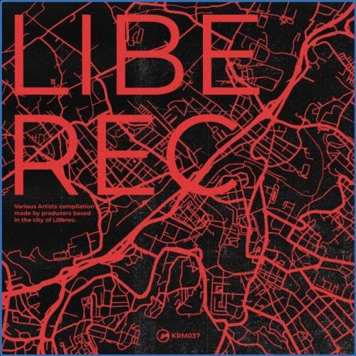 VA - Krmelec Recordings - Liberec (2021) (MP3)