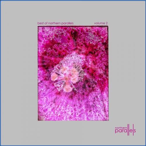 VA - Best Of Northern Parallels 002 (2021) (MP3)