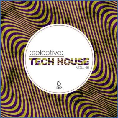 VA - Selective: Tech House, Vol. 45 (2021) (MP3)