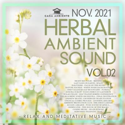 VA - Herbal Ambient Sound Vol.02 (2021) MP3