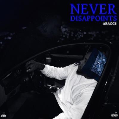 VA - Araccs - Never Disappoints (2021) (MP3)