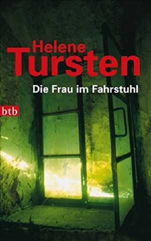 Cover: Tursten, Helene - Die Frau im Fahrstuhl (Kurzgeschichten)
