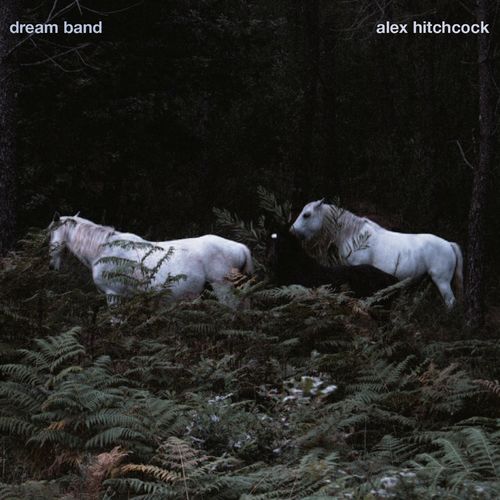 VA - Alex Hitchcock - Dream Band (2021) (MP3)