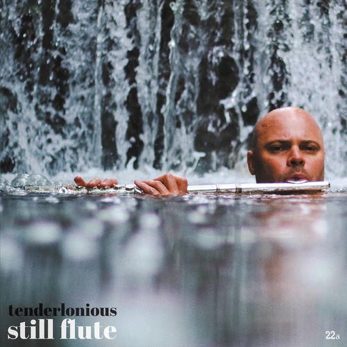 VA - Tenderlonious - Still Flute (2021) (MP3)