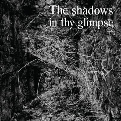 VA - The Shadows In Thy Glimpse: Bedouin Records Selected Discography 2016-2018 (2021) (MP3)
