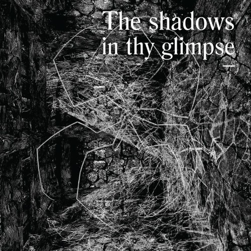 VA | The Shadows In Thy Glimpse: Bedouin Records Selected Discography 2016-2018 (2021) MP3