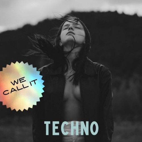 VA - Experimental-X - We Call It Techno (2021) (MP3)