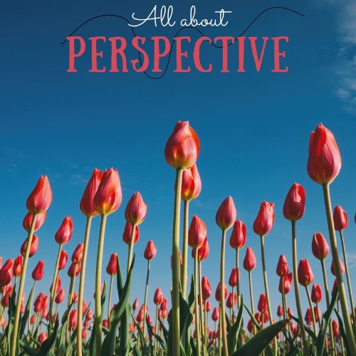 VA - All About Perspective (Compilation) (2021) (MP3)