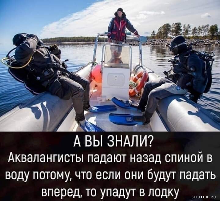 dd62ed219ecd954671387b66ce764093.jpg