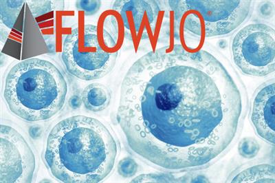 FlowJo 10.8.1