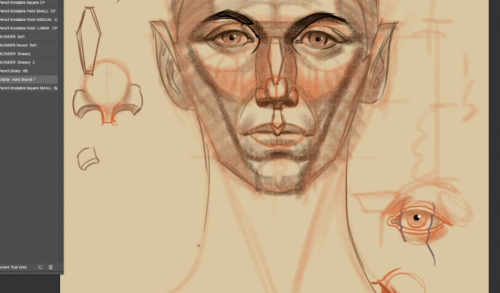 Chris Petrocchi - Draw the Head Front Planes Made Easy for Portraits and Character Design