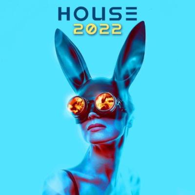 VA - DJ Acid Hard House - House 2022 (2021) (MP3)