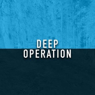 VA - Berry Parfait: Deep Operation (2021) (MP3)