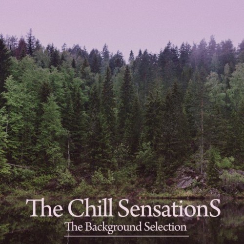VA - The Chill Sensations (The Background Selection) (2021) (MP3)
