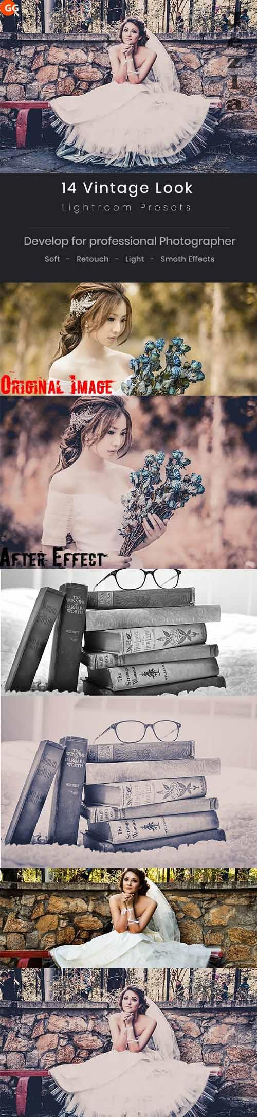 14 Vintage Look Lightroom Preset - 21576820