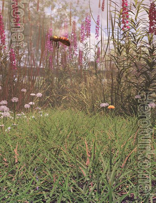 Simply Grass - Grass Plants and Clumps Simply Grass - Grass Plants and Clumps