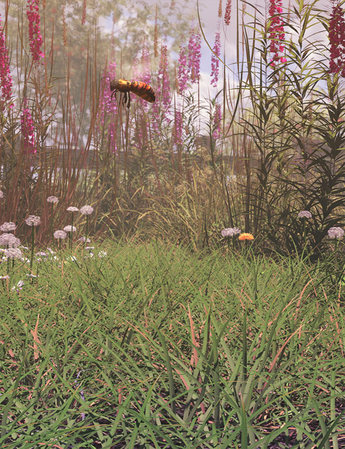 Simply Grass - Grass Plants and Clumps