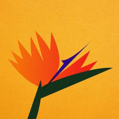 VA - Blanali - Birds Of Paradise EP (2021) (MP3)