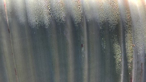 Physics of Life 4. Wave phenomena