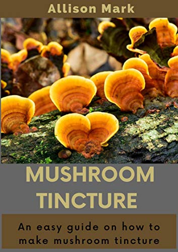 Mushroom Tincture: An Easy Guide on how to Make Mushroom Tincture