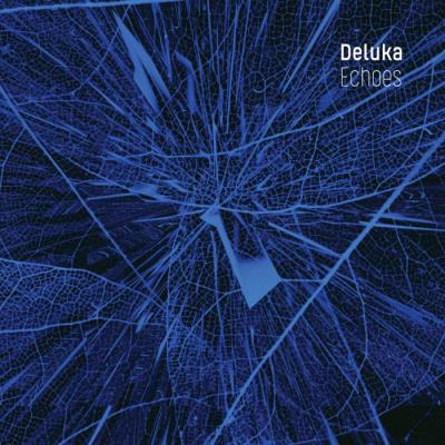 VA - Deluka - Echoes (2021) (MP3)