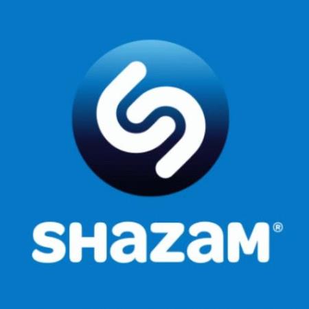 Shazam Hit Parade World Top 200 November (2021)