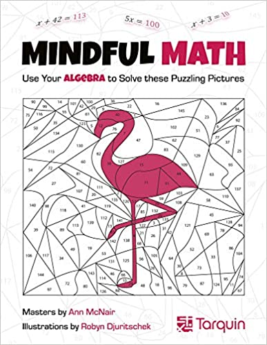 Mindful Math 1: Use Your Algebra to Solve These Puzzling Pictures