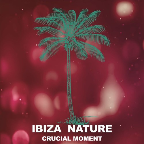 VA - Ibiza Nature  - Crucial Moment (2021) (MP3)