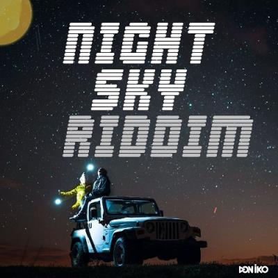 VA - Night Sky Riddim (2021) (MP3)